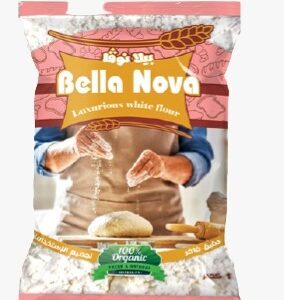 دقيق ١ كيلو