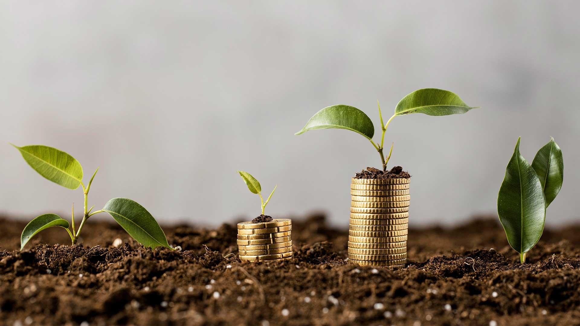 قبل ما تتبرع: أسئلة بسيطة تساعدك على اتخاذ القرار الصحيح