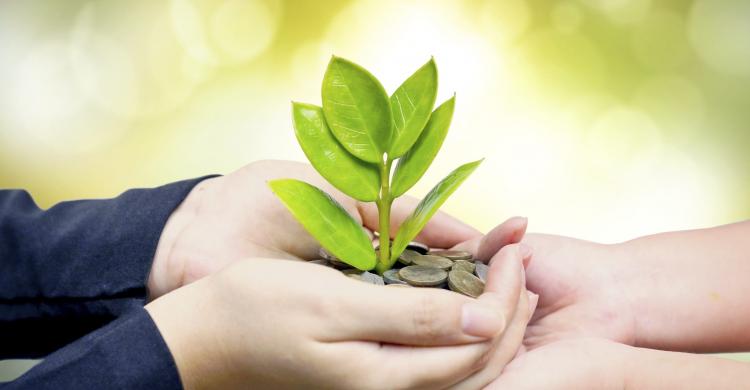 ما هي أفضل منصة لتلقي التبرعات؟ أمان وشفافية في كل خطوة